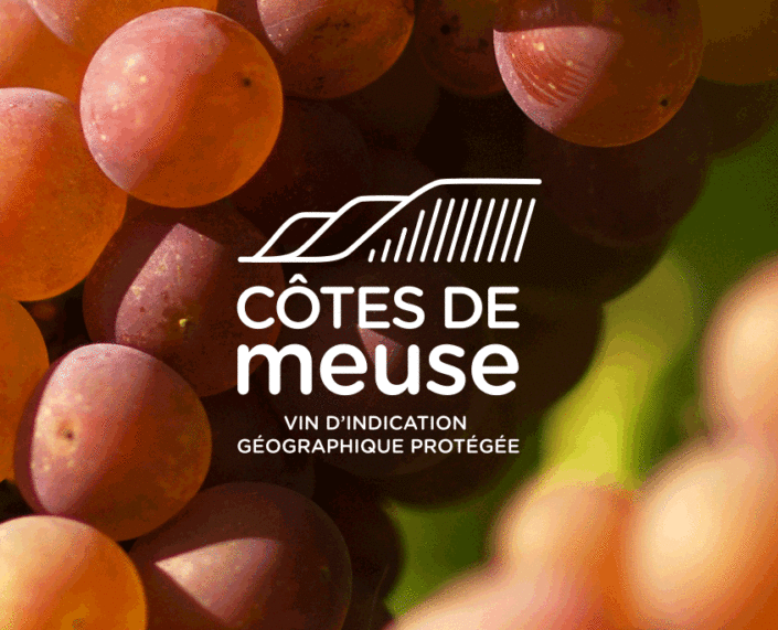 Vins IGP des Côtes de Meuse